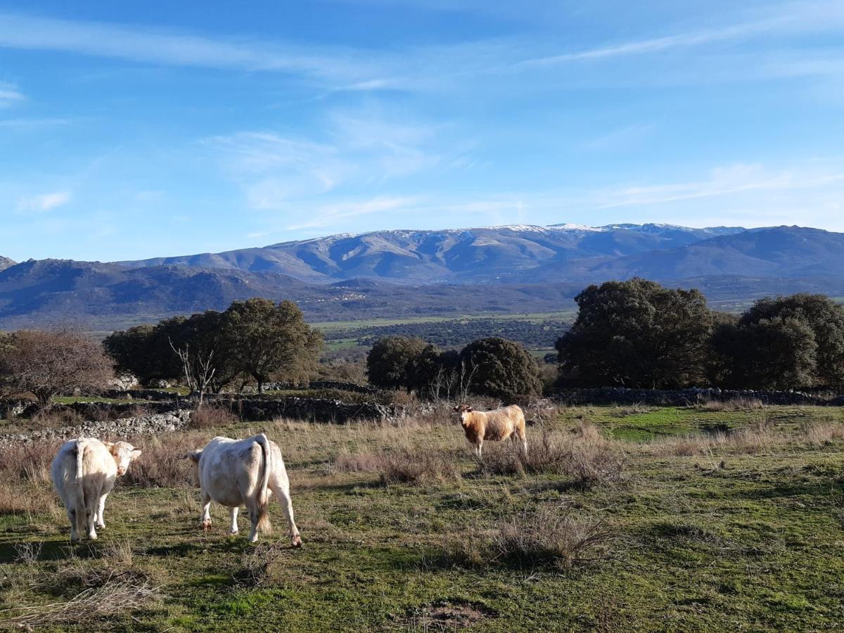 Casa Rural Mi Descanso Valdefuentes de Sangusín Εξωτερικό φωτογραφία